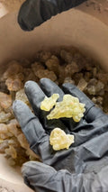 Pure Frankincense Resin | Boswellia Frereana | Premium Somali Incense