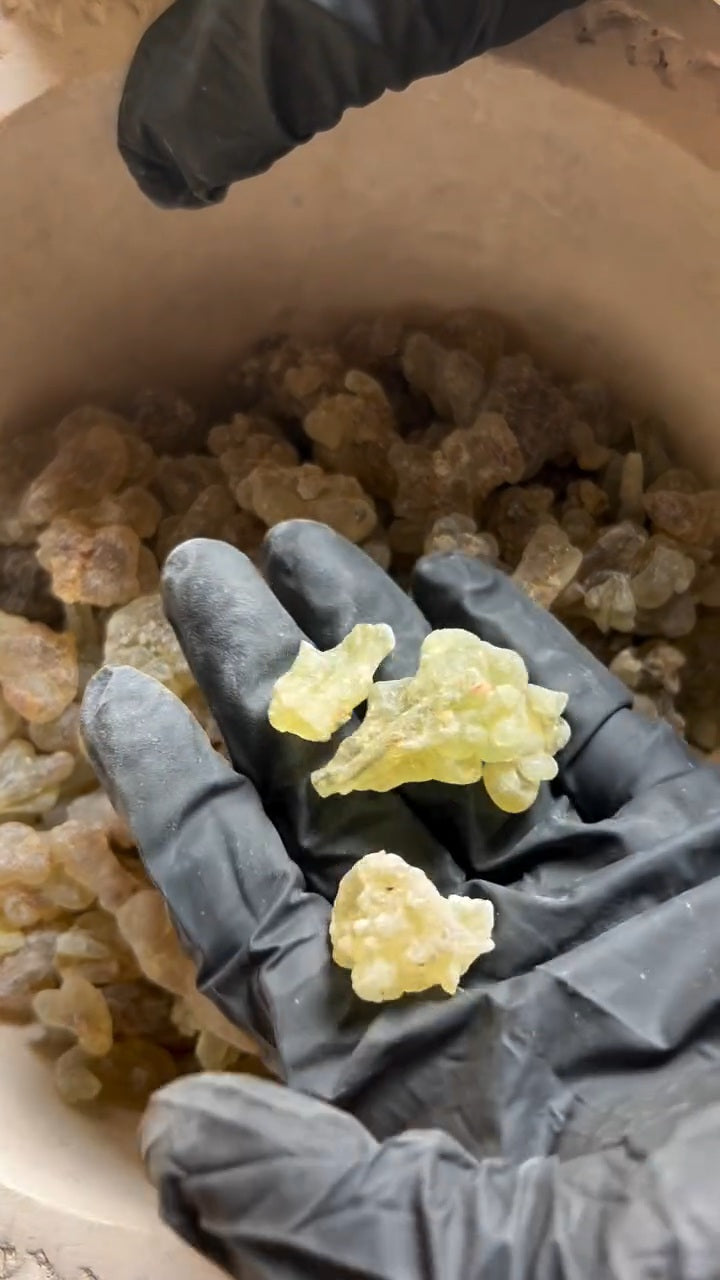 Pure Frankincense Resin | Boswellia Frereana | Premium Somali Incense
