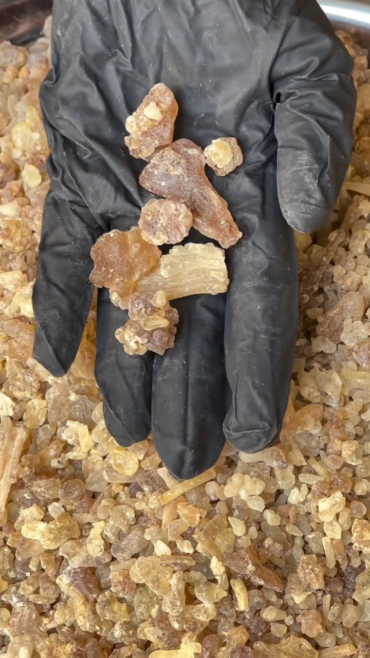 Pure Frankincense Resin | Boswellia Frereana | Premium Somali Incense
