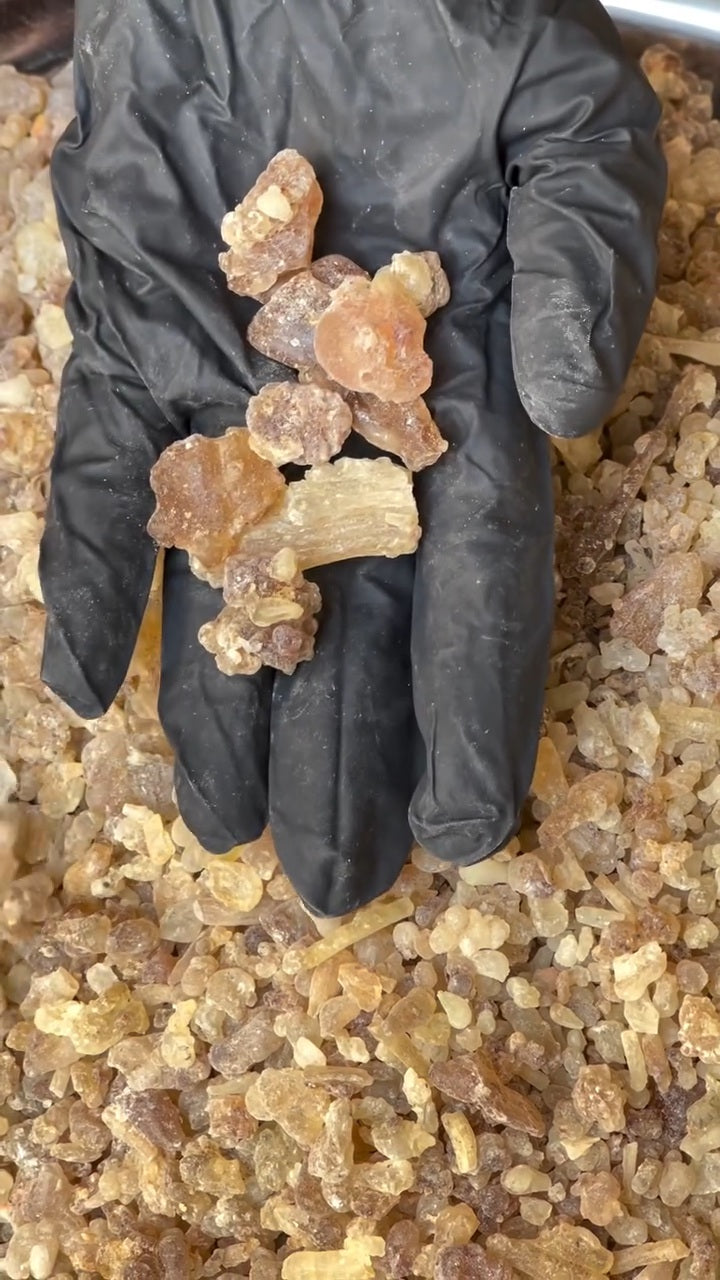 Pure Frankincense Resin | Boswellia Frereana | Premium Somali Incense