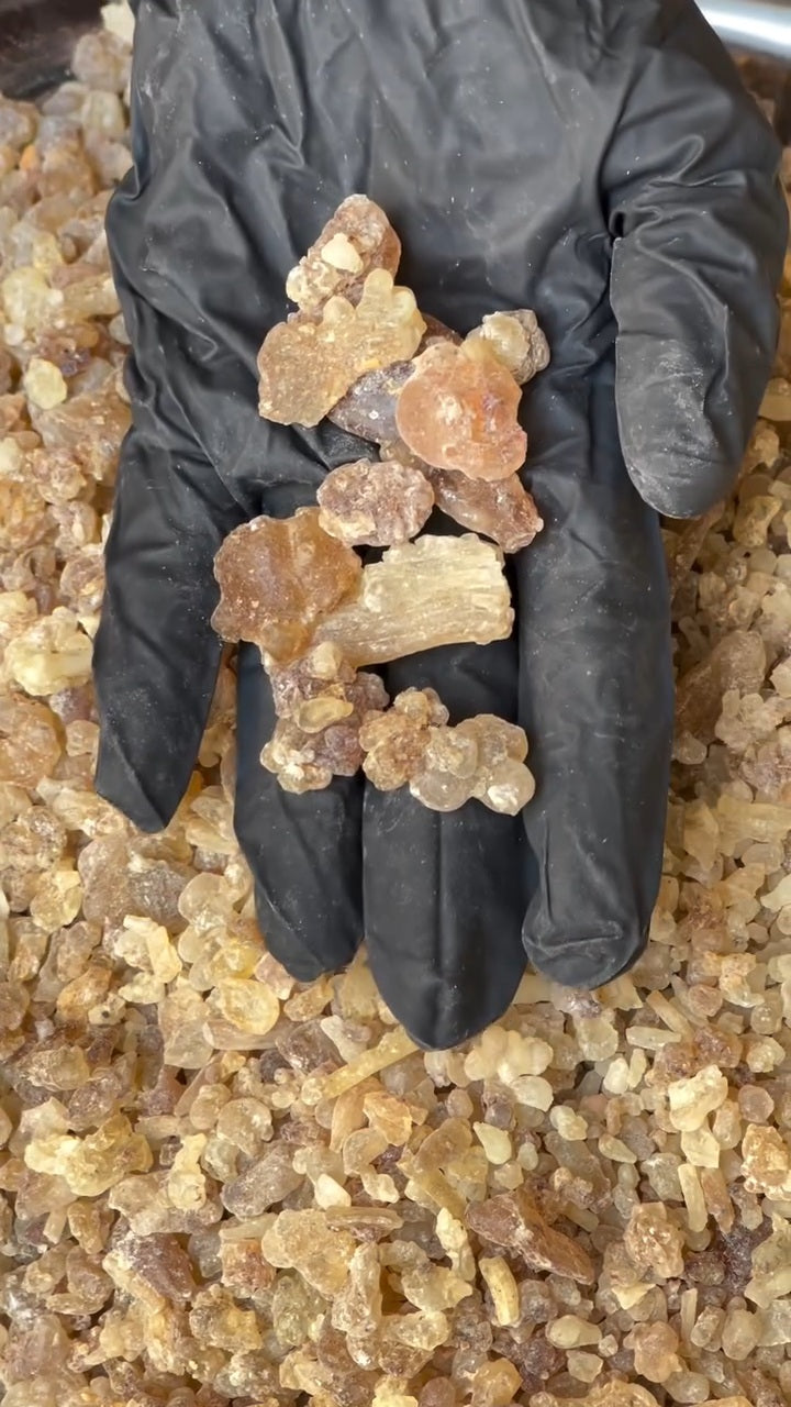 Pure Frankincense Resin | Boswellia Frereana | Premium Somali Incense