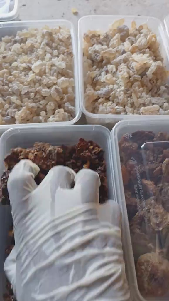 Pure Frankincense Resin | Boswellia Carterii | Sacred Somali Incense