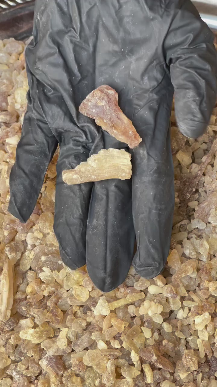 Pure Frankincense Resin | Boswellia Frereana | Premium Somali Incense